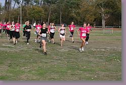 Gujan cross 28.11.09 01 062 * 640 x 427 * (141KB)